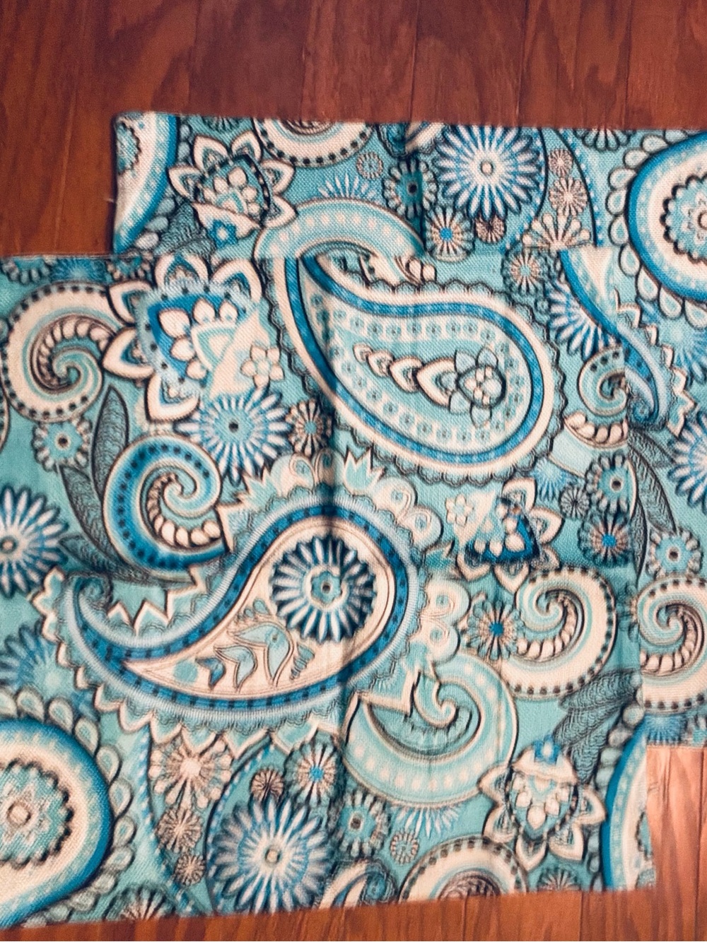 NWOT…..2 matching Waterproof pillow cases